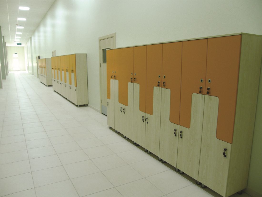 Kilitli Kapaklı Kişisel Eşya Dolabı Kilitli Kapaklı Kişisel Eşya Dolabı